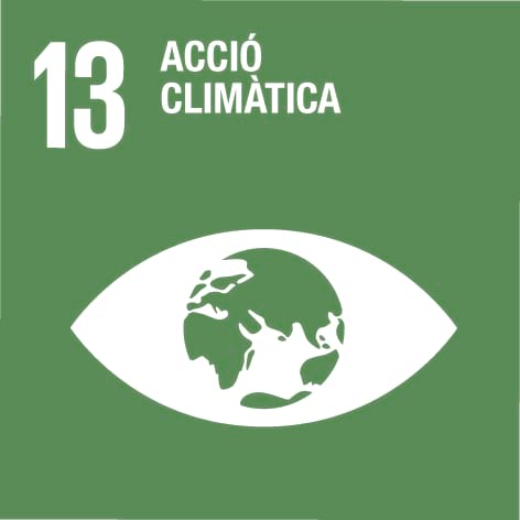 13. Acció climàtica