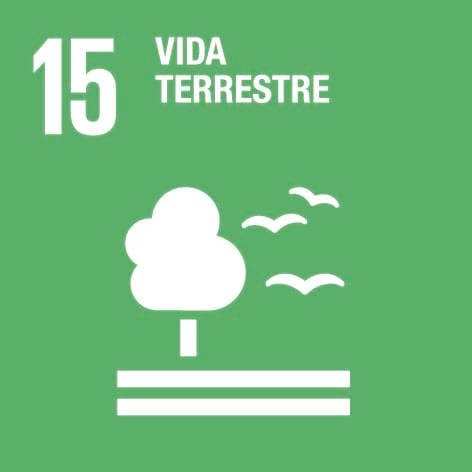 15. Vida terrestre