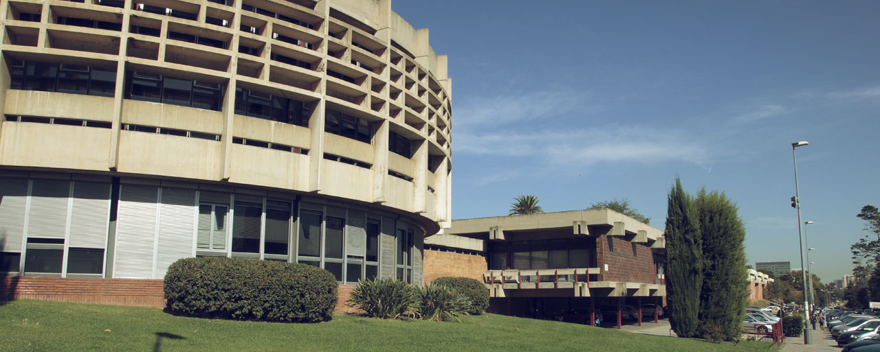 Castillo, José Luis - UB School of Economics