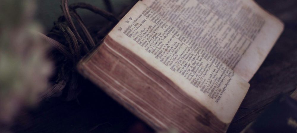 close up photo of bible opened near flowers