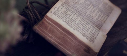 close up photo of bible opened near flowers